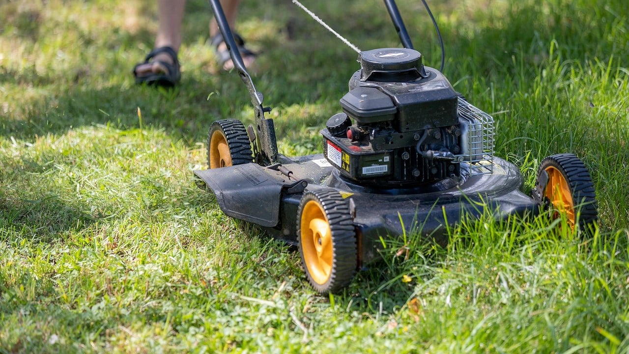 Mowing Lawns
Moving lawns for cash is a classic summer job. If you are not able to supply your own equipment, ask around your neighborhood or community for people who own their won equipment, but who need help with their lawn care during growing season.