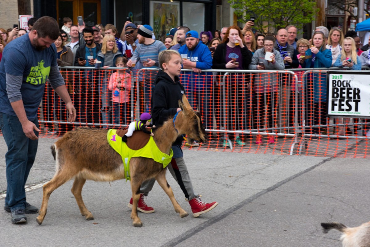 &#147;Gin and Tonic,&#148; runner-up of the Adult Goat Race at NuLu Bock Fest 2018. Photo by Francis Dumstorf.