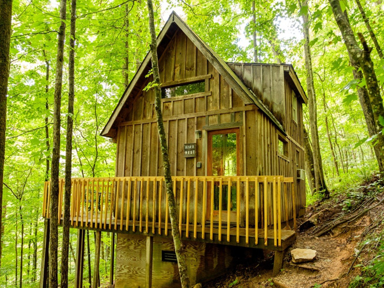 Bird Nest Cabin - Quiet Waters Cabins
Slade, Kentucky | Entire Cabin | Starting at $149/night | Hosts 2 Guests 
&#147;Enjoy an uncomplicated escape, surrounded by nature. This cabin is part of a 5 cabin complex connected by wooden walkways and staircases at Natural Bridge State Park. Take a five minute hike up to the cabin. This group of cabins is wonderful for family reunions.&#148;