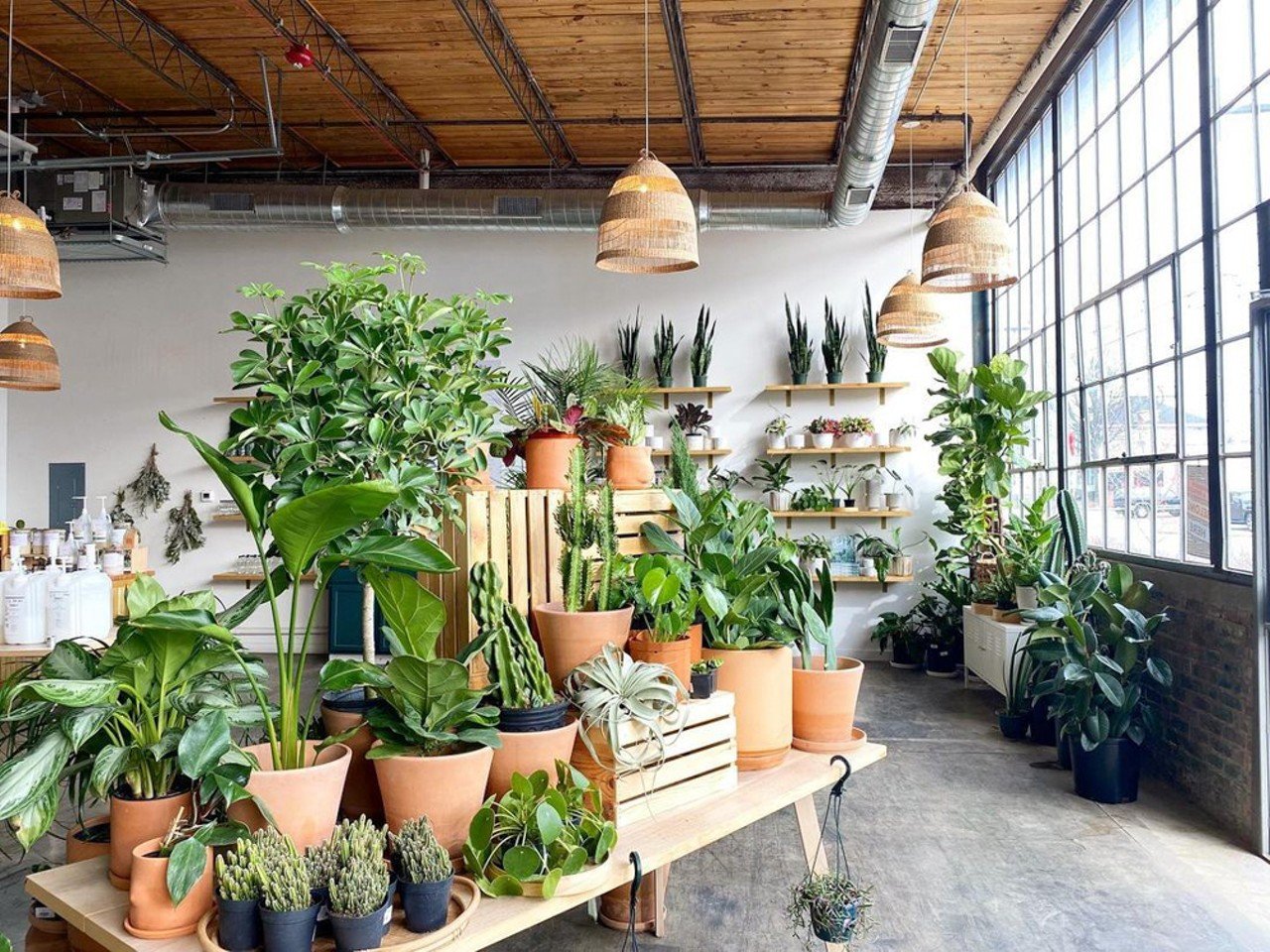 Go to a plant store 
A store like Forage or Mahonia might be the chill, peaceful spot you need to find your new favorite addition to your plant collection.
Photo via foragegreenliving/Instagram