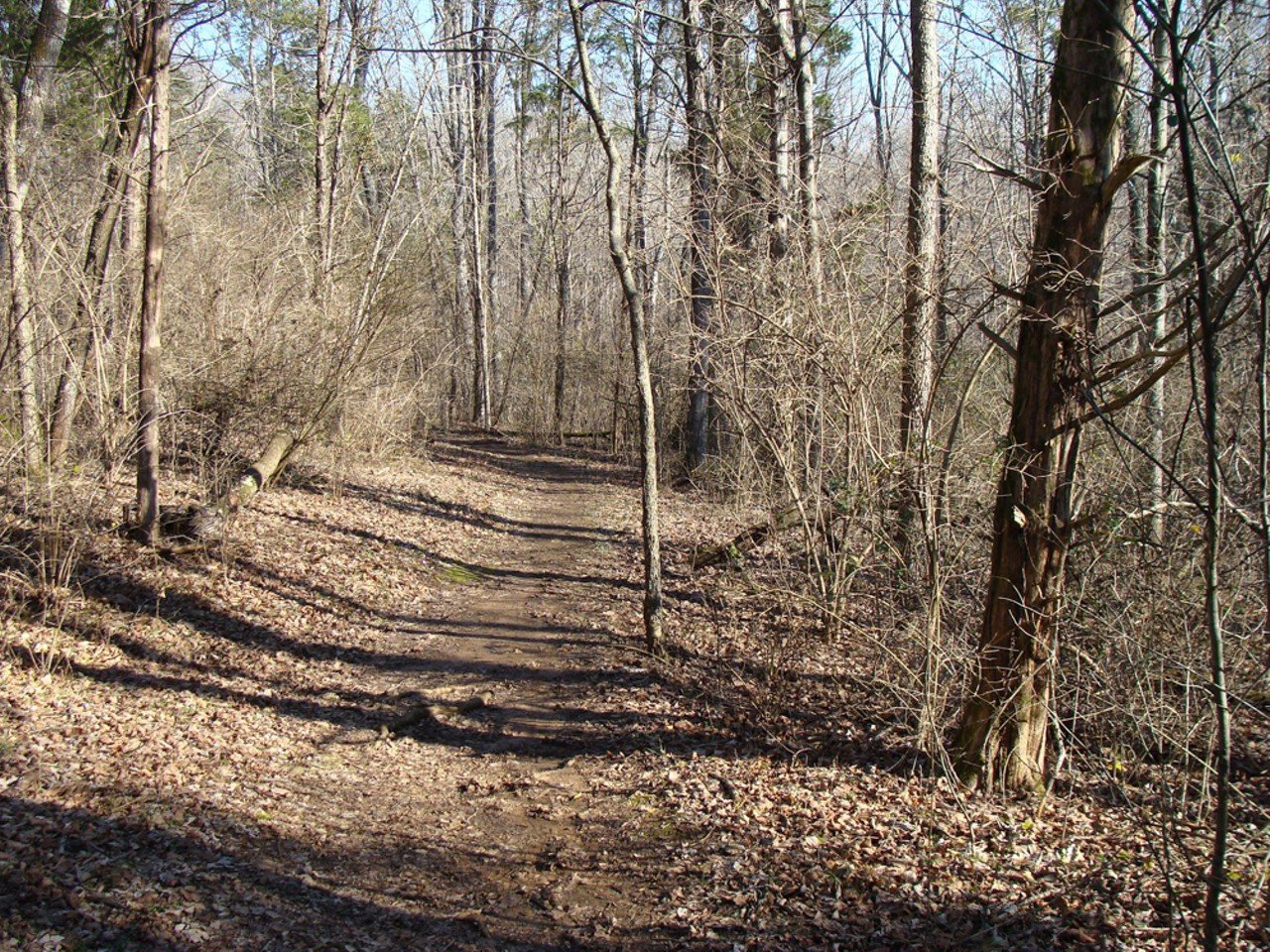 Charlestown State Park Trail No. 2
12500 IN-62, Charlestown, IN
Trail No. 2 is a 1.3-mile loop that takes you through an open woodland before dropping into hilly terrain that runs parallel to a creek, which, water levels permitting, has a few, small waterfalls.
