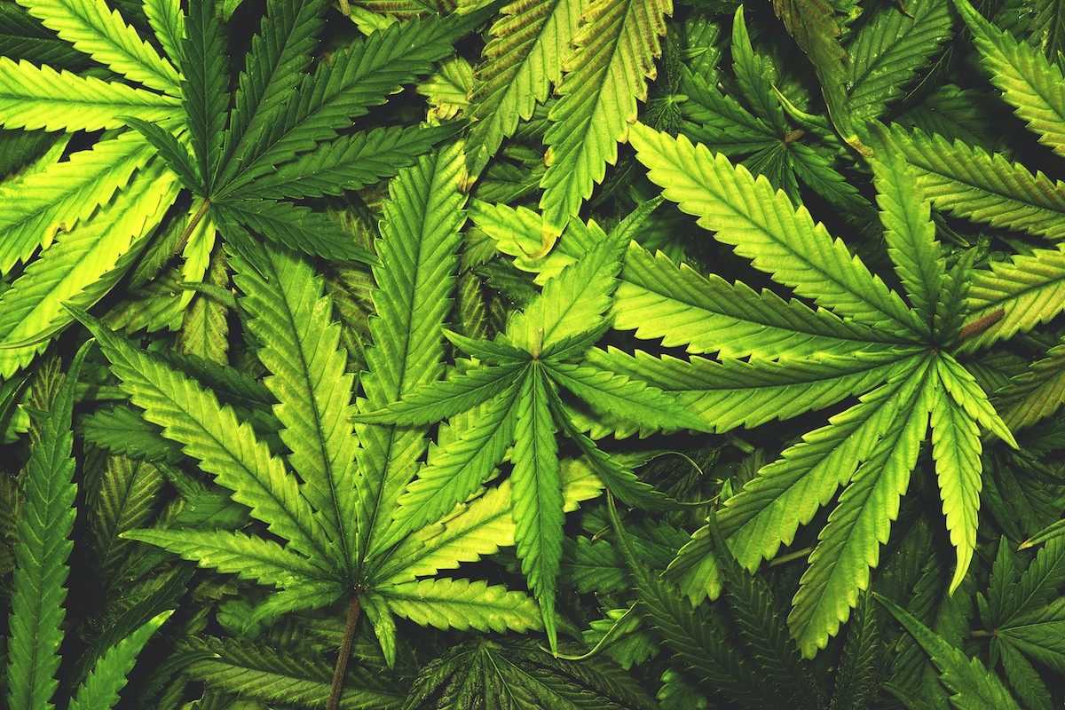 Marijuana is not yet fully legal in Kentucky.