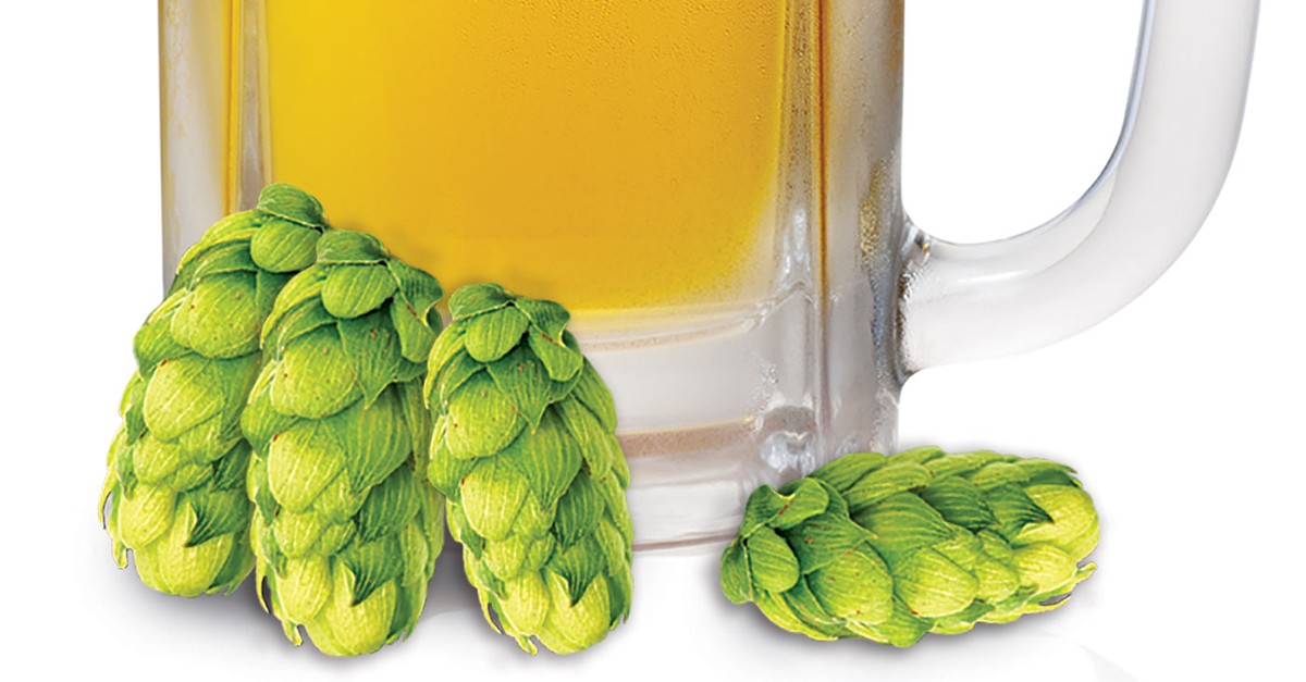A shortage of certain hops has furthered innovation at local breweries