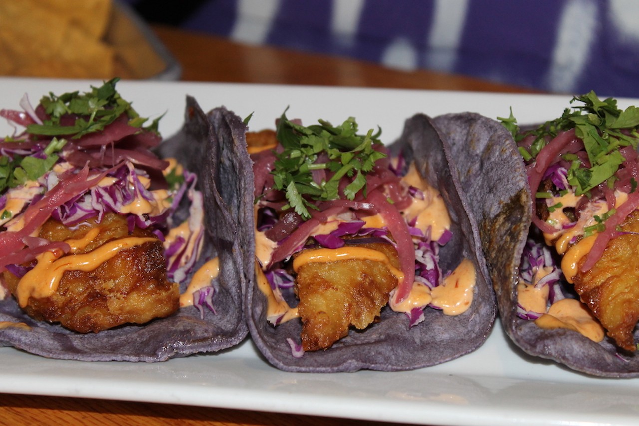 SENOR IGUANAS | CLARKSVILLE
1415 Broadway St., Clarksville, Indiana
Los Cabos Fish: Cerveza-battered cod, red cabbage, chipotle aioli, pickled red onion, cilantro
There is also an El Jimador Tequila Special at this location.
Photo: Senor Iguanas