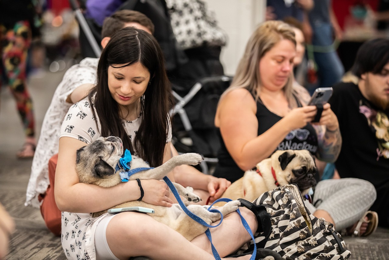 All the Sweet Doggos We Saw at Louisville's First Bluegrass PugFest