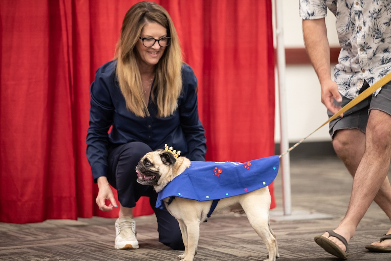 All the Sweet Doggos We Saw at Louisville's First Bluegrass PugFest