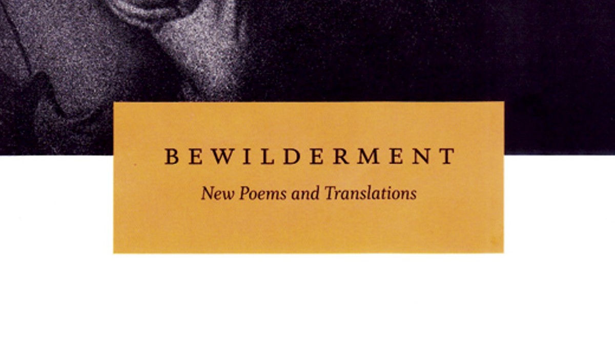 Book: Bewilderment breathes life into death