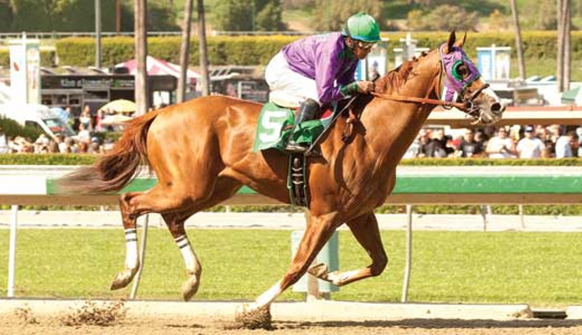 California Chrome tops Derby prospects