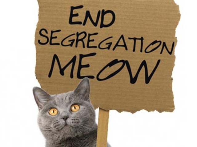 Cats sue over segregation at Dog Hill