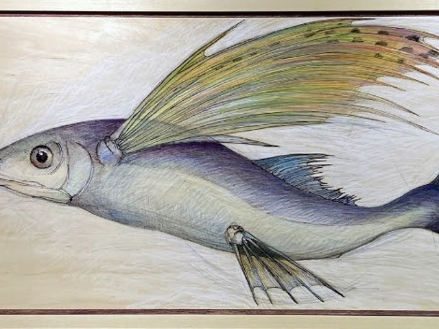 "Rainbow Flying Fish&#148; by Rex Lagersrom at Bourne-Schweitzer Gallery.