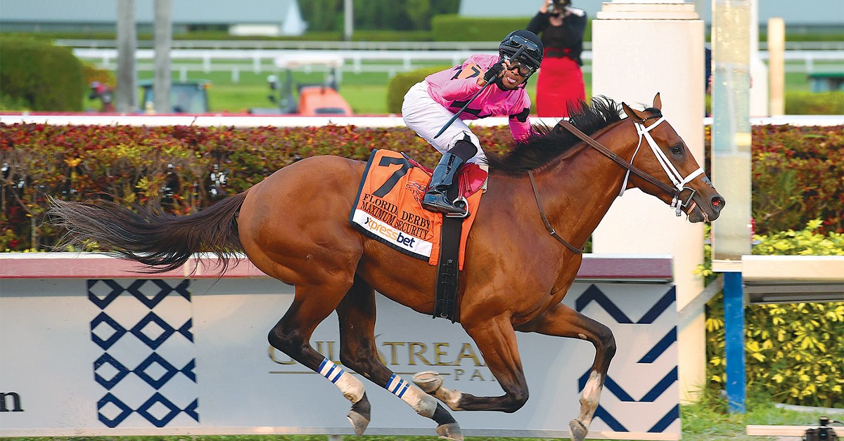 Maximum Security in the Florida Derby.  |  Photo by Leslie Martin.