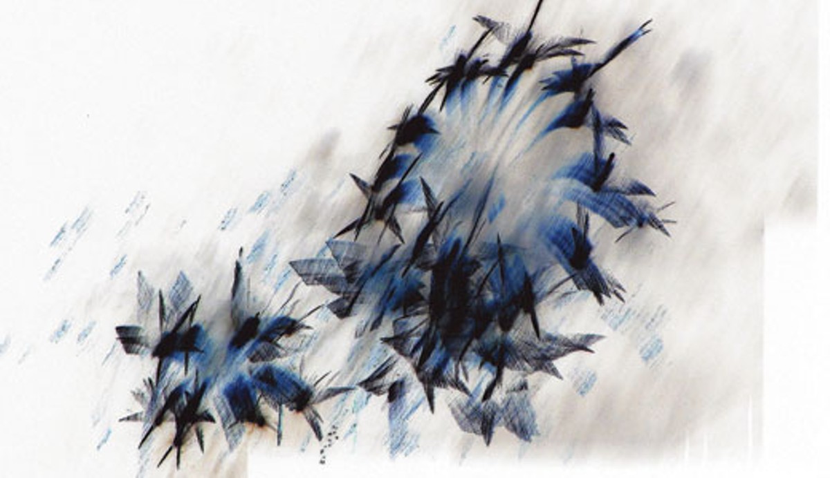 "Negative Blue Thunder&#148; by Ann Pollard