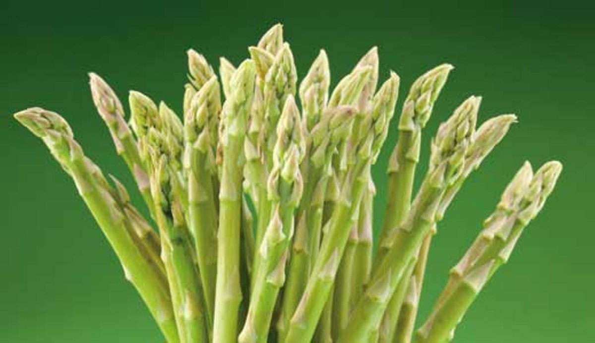 Locavore Lore: Don&#146;t judge asparagus by what it does to your pee