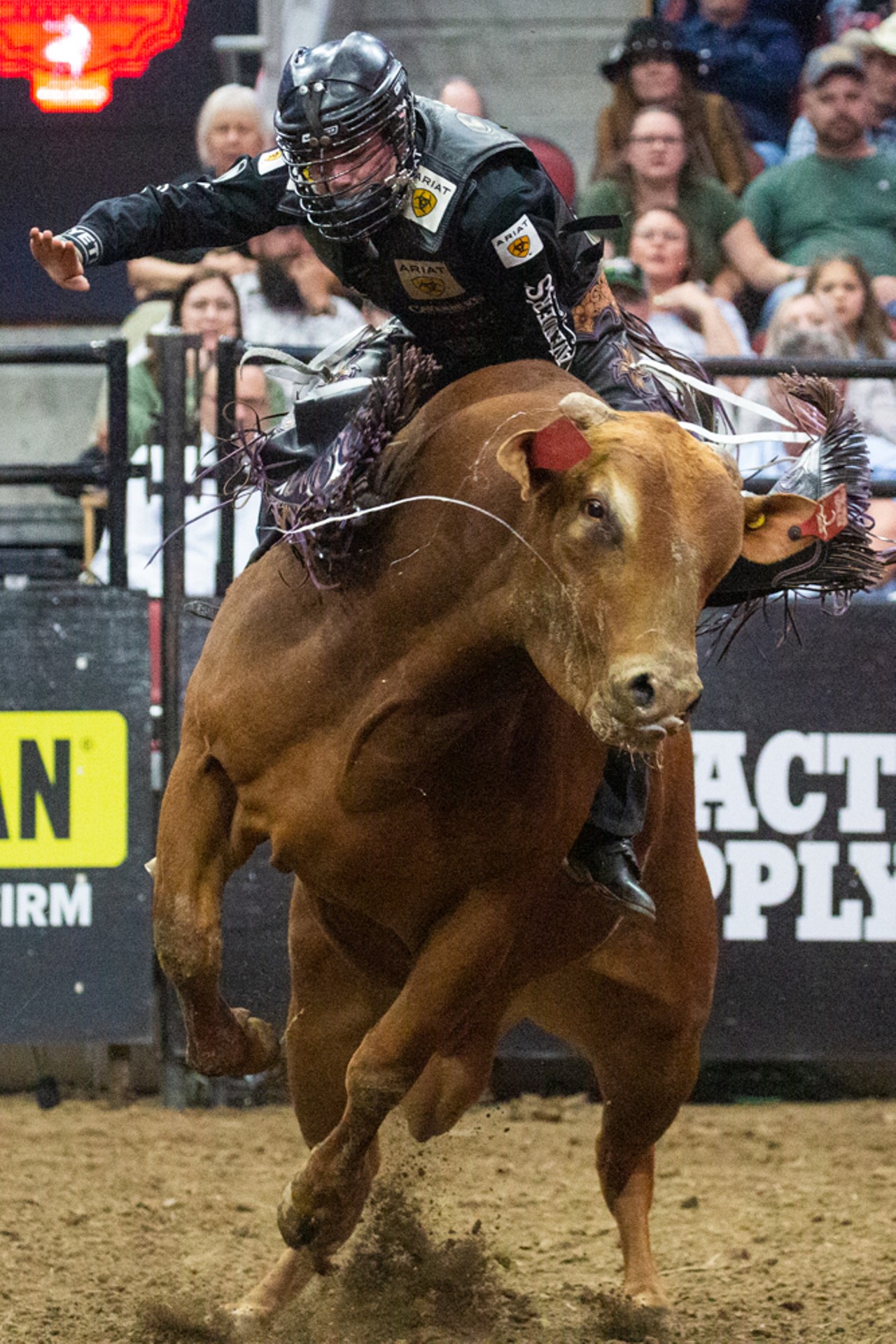 PHOTOS: All The Bucking And Bull Riding We Saw At PBR’s 2024 Unleash The Beast Tour