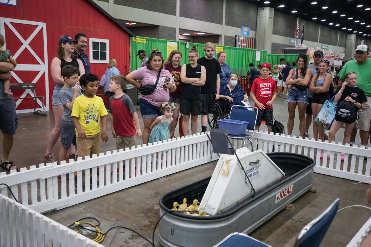 PHOTOS: Everything We Saw At The 2022 Kentucky State Fair