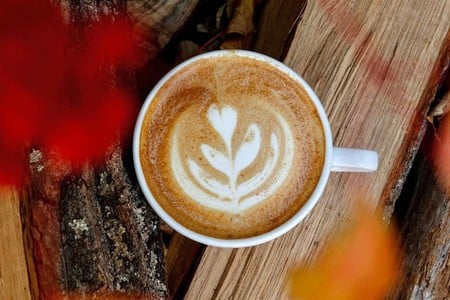 Louisville coffee shops and breweries are gearing up for fall with a slew of delicious autumn-inspired beverages.