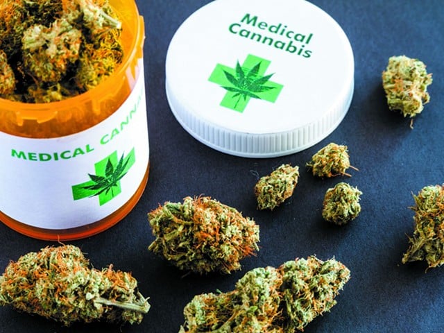 Medical cannabis applications have closed for now, how many businesses are looking to get in?