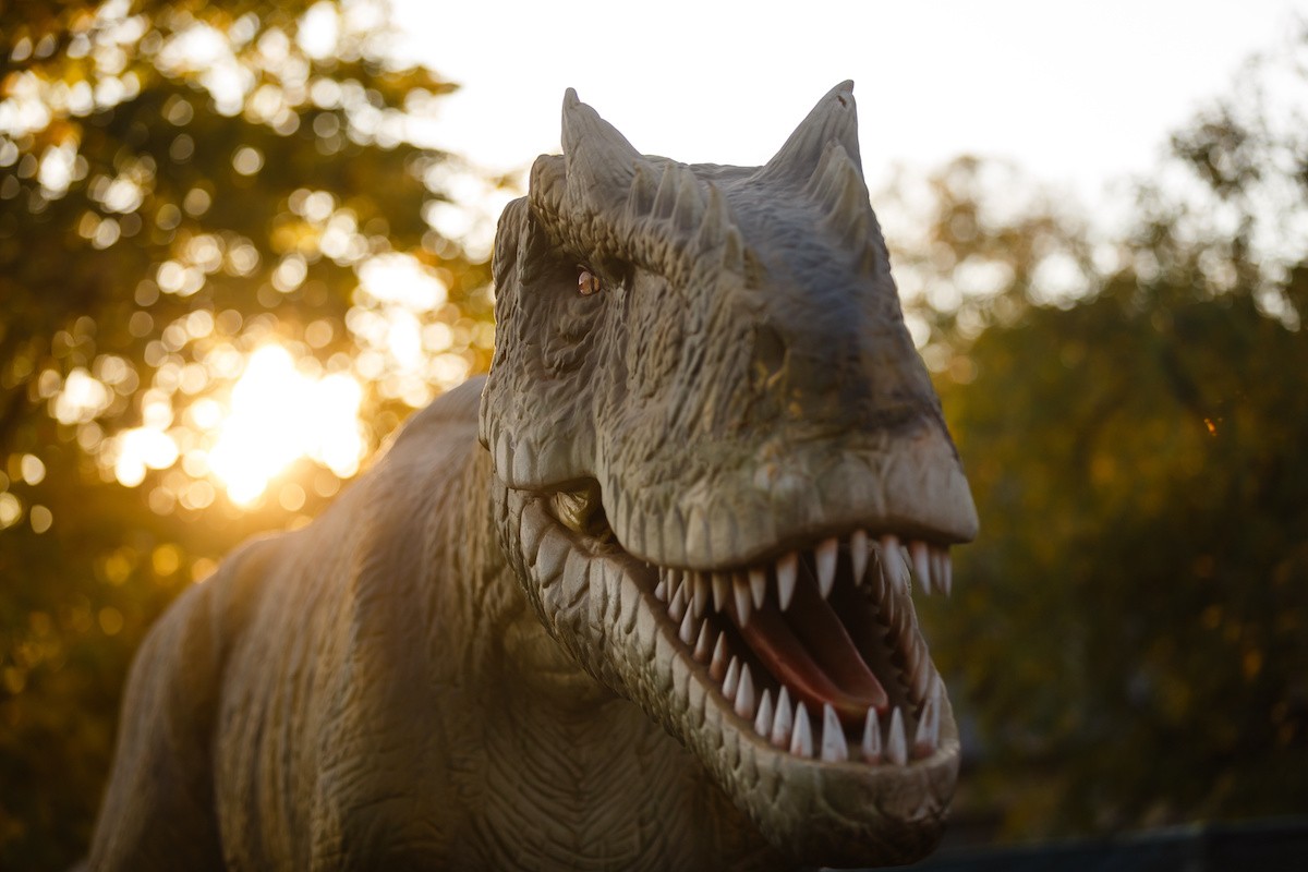 See the king of all dinosaurs, Tyrannosaurus Rex, at Dinos Under Louisville.