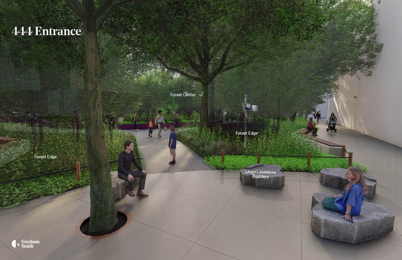 Trager Microforest Project Brings Forestry To Downtown Louisville