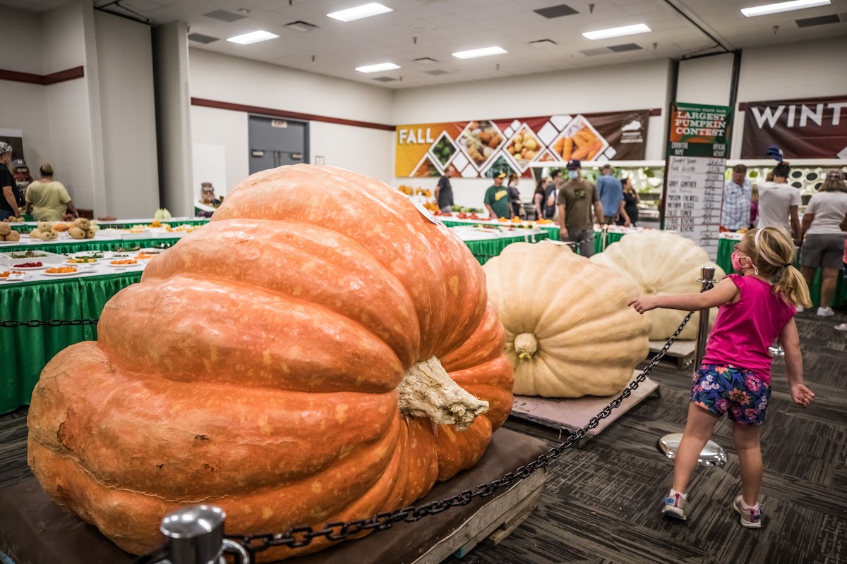 The honor of the Kentucky State Fair's largest pumpkin went to Dwight Slone and his pumpkin that weighed in at a whopping 1,663 pounds.