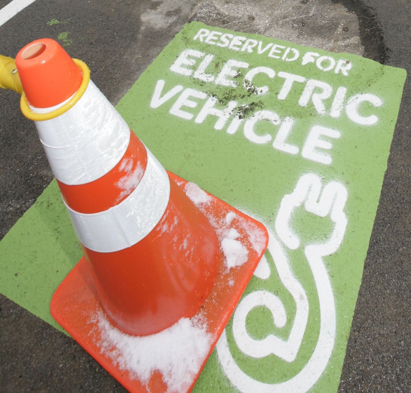Members of Evolve KY, Kentucky's electric car group, celebrated on Sunday the opening of the first charging station at a YMCA, the one in Norton Commons. - David Harrison