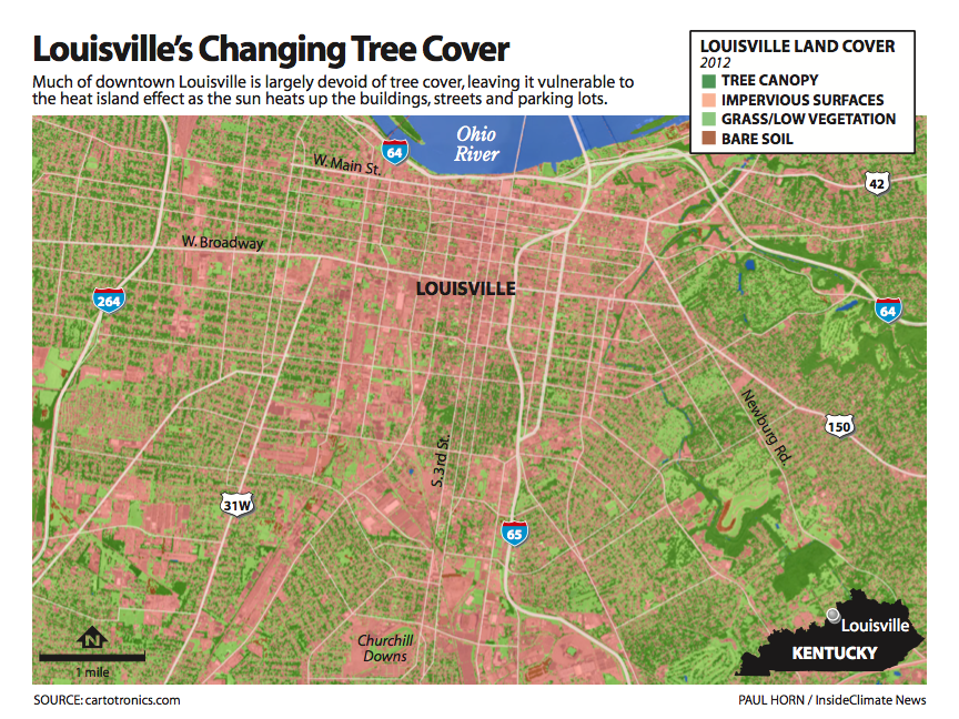 Louisville's changing tree cover.